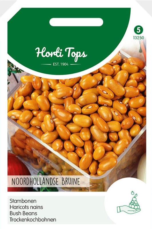 Bruine boon Noordhollandse (Phaseolus) 300 zaden